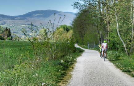 Agriturismo Casa Agricola Rossi Appartamenti in Casentino - Foto 53