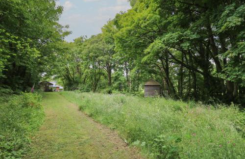 Glas y Dorlan - Foto 47