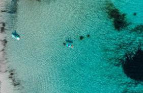 Can Yuca II - Foto 34