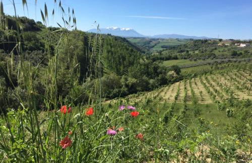 Casa Belfi - Foto 34