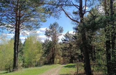 Dębowy Zakątek - Foto 28