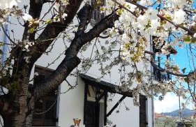 Studio Sevasti - Foto 1