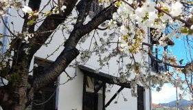 Studio Sevasti - Foto 1