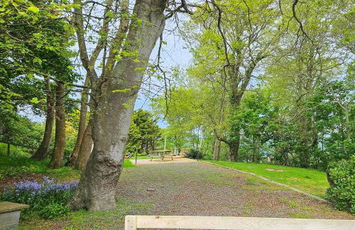 Bron-Yr-Aur - Uk49616 - Photo 19