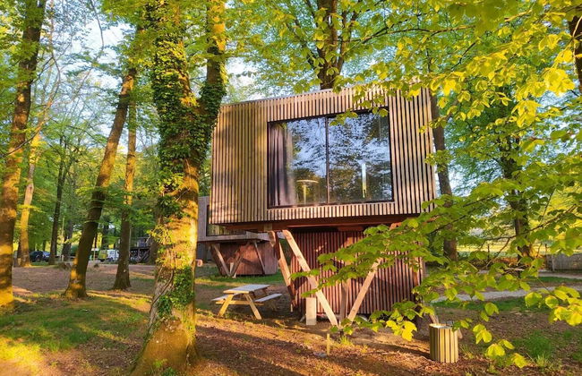 Etape en forêt - Foto 41