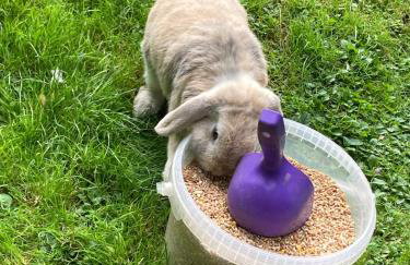 Gertys Getaway - Foto 15