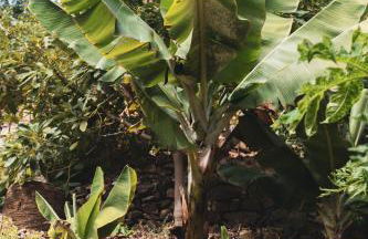 Casa rural El Hornillo - Photo 32