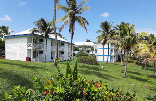 Kaz ananas passion - Photo 39