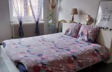 Les Hirondelles du MAMBOURG - Foto 27