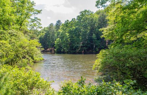 Star View Cabin - Powder Horn Mountain - Foto 50