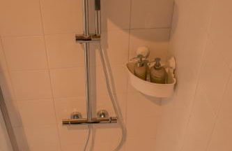 Quinta-lina de serpins - Foto 31