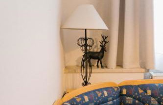 Ferienwohnungen Steinbacher - Foto 15