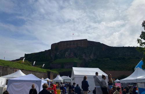 Le Cocon du lion - Foto 23