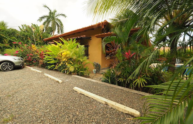 Opera Salvaje N.27 - Foto 21