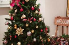 Casa Garofoli - Foto 16