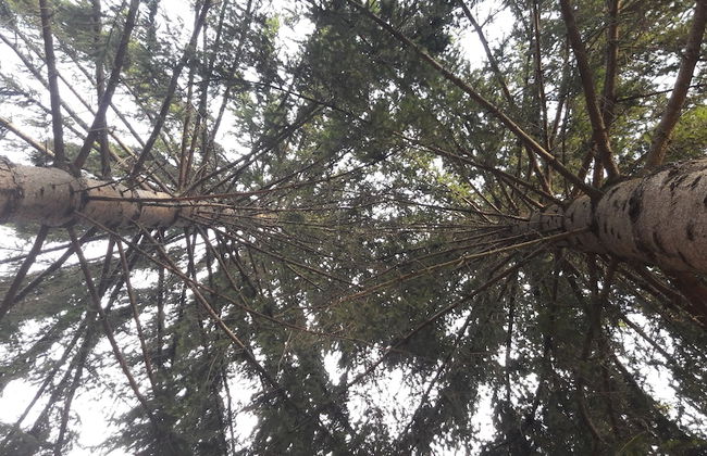 Green Retreat Kuca uz Rijeku za Savrseni Odmor - Foto 37