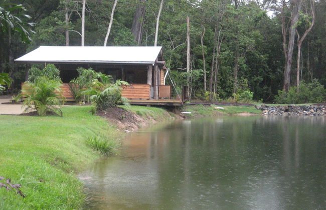 Rainforest Ranch - Photo 20