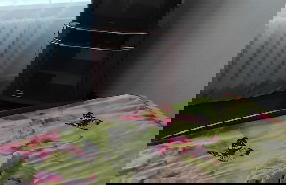 Apartment in the center on Lenin 30 - Photo 5