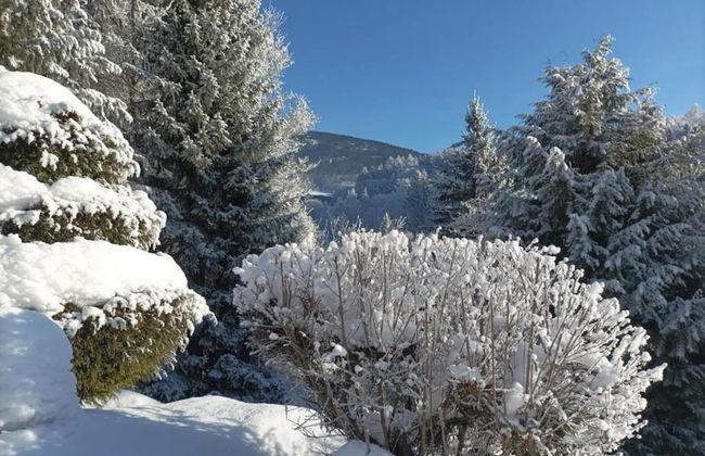 Attractive Apartment in Rokytnice nad Jizerou near Ski Area - Foto 35