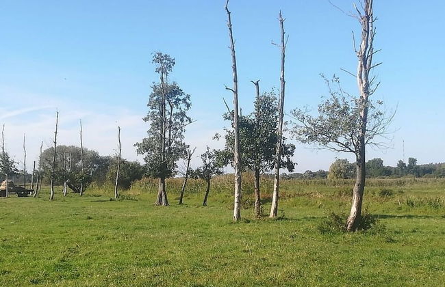 \"the Elf\" Comfortable Holiday Residence - Foto 17