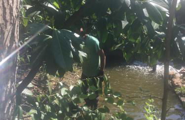 Charming 2-Bed Cabin in Domfront-en-Poiraie - Foto 19