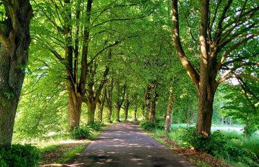 Biały domek nad stawem - Foto 42