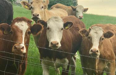 Dandaleith Cottage No.2 - Foto 28