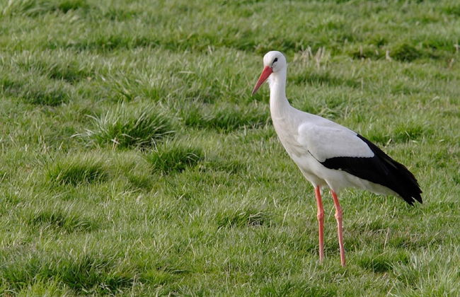 Unusual Hideaway in Lorraine - Photo 23
