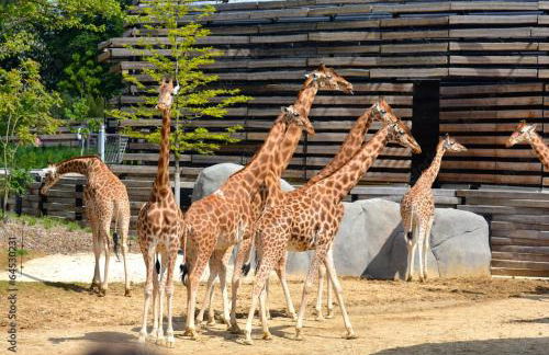 Saint-Mandé studio, proche metro Ligne 1 & Paris Centre, Wifi rapide, Ideal couple, télétravail - Foto 9