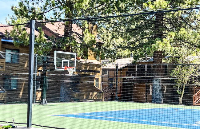 Restful Wildflower - Foto 30