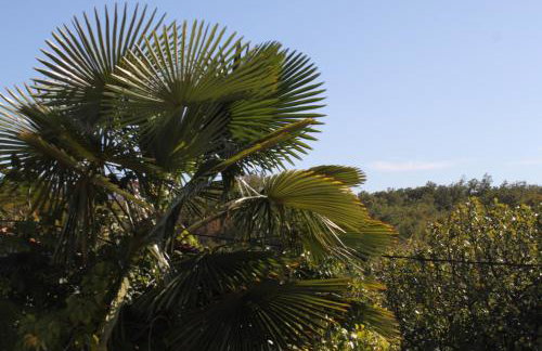 Family friendly house with a swimming pool Presika, Labin - 7363 - Foto 21