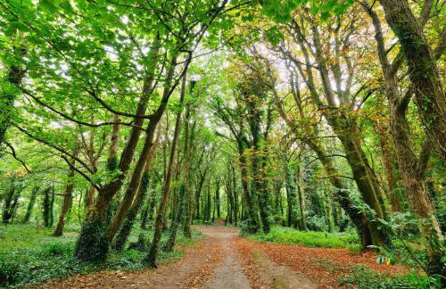 Finest Retreats - Joyful Cottage - Foto 21