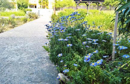 Aloni Studios and Apartments - Photo 40