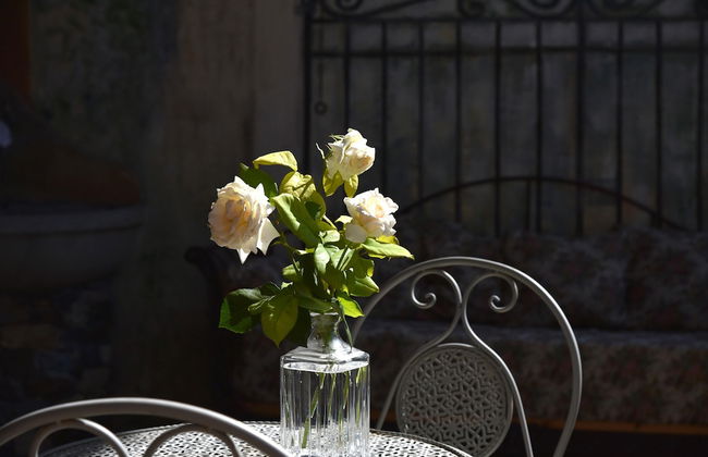 Roseto del Drago - Foto 30