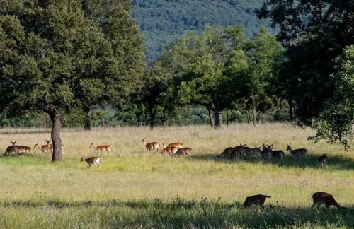 AGUA DULCE , Apartamento Rural - Foto 28