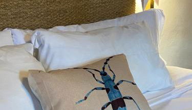 Molino del Corregidor - Foto 4