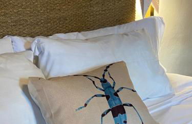 Molino del Corregidor - Foto 4