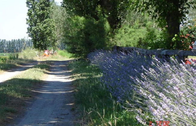 Pet-friendly Getaway With Pool - Foto 35