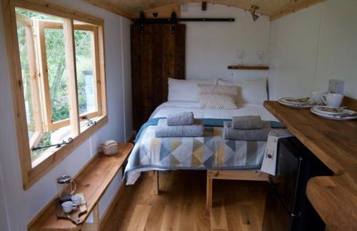 Little Dolwen - Sioned - Photo 34