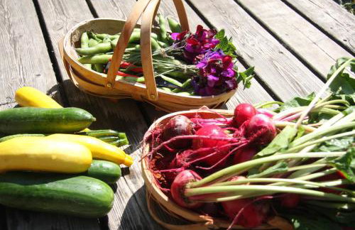 THE HYDE- secret hide away, near the beach. - Foto 33