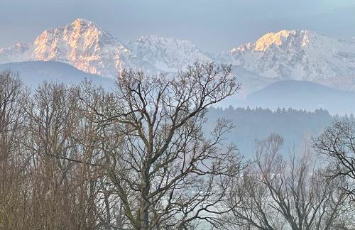 Ferienwohnung Mühlenweg - Foto 7