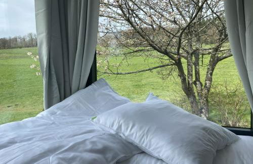 Rauszeit-Tiny Waldblick - Foto 16