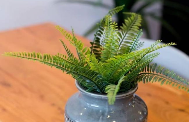 Spacious 2 Bedroom Condo in Little Italy - Foto 49