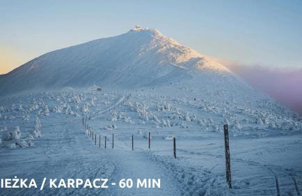 Willa Różowy Domek - Foto 19