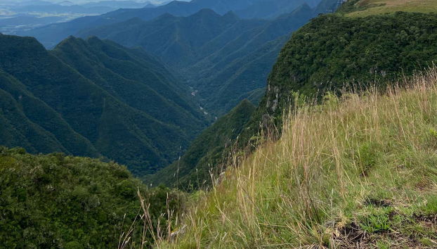 Views from Pico do Monte Negro