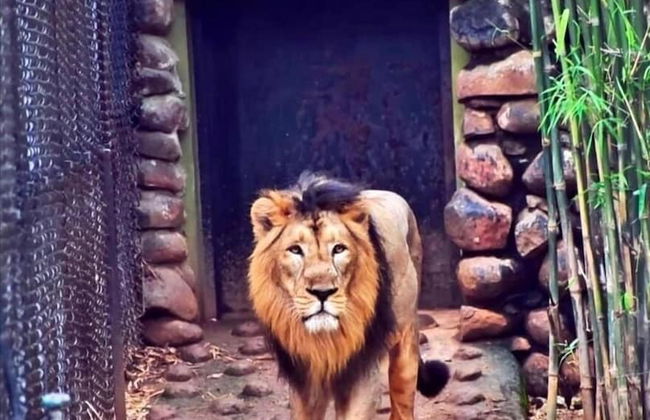 Royal Tusker Luxury Service Apartments - Foto 48