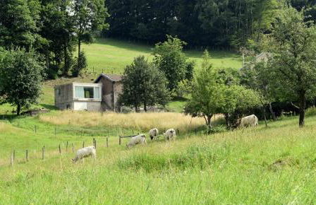 Gîte du Mont Gérard - Foto 19