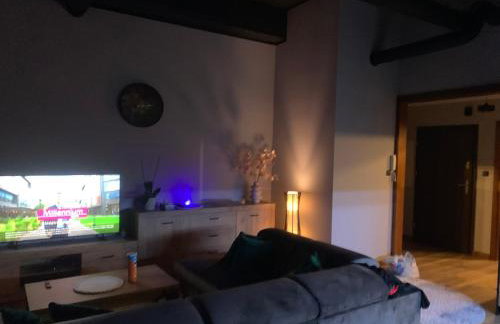 Bulwar Apartament Stare Miasto - Foto 21