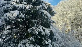 Eulennest,Parkplatz,Wäschepaket,Reinigung inklusive - Foto 4