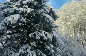 Eulennest,Parkplatz,Wäschepaket,Reinigung inklusive - Foto 4